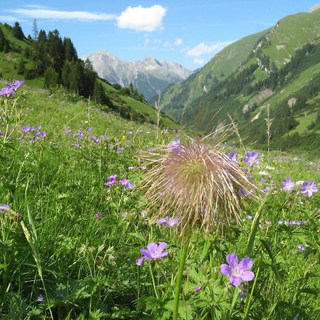 Ferienwohnungen Schlichtherle Bach  Eksteriør bilde